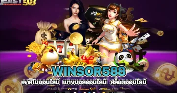 winsor588