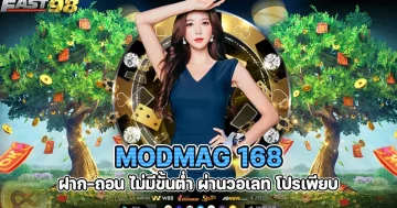 ModMAG 168