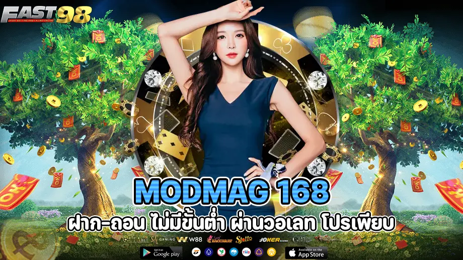 ModMAG 168